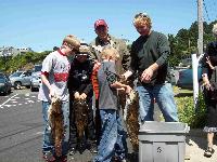 Whale Watching Depoe Bay 